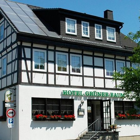 Hotel Gruener Baum Щолберг Екстериор снимка